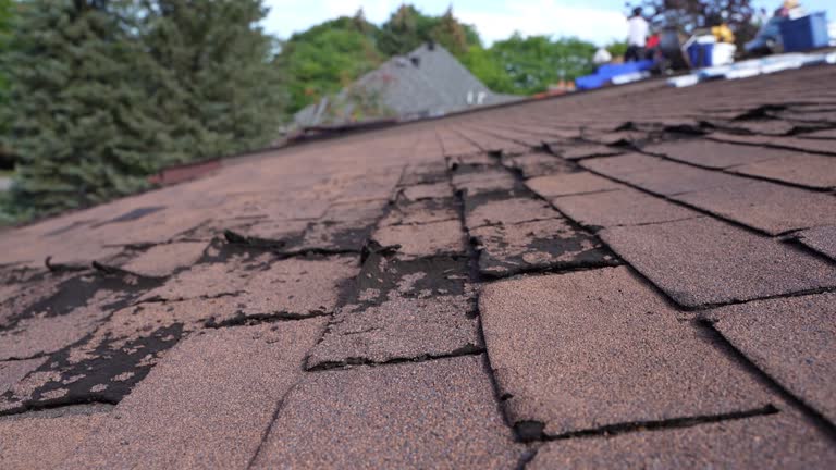 Best Emergency Roof Repair Services  in Black Creek, WI