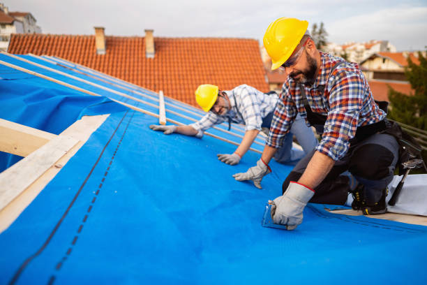 Best Chimney Flashing Repair  in Black Creek, WI